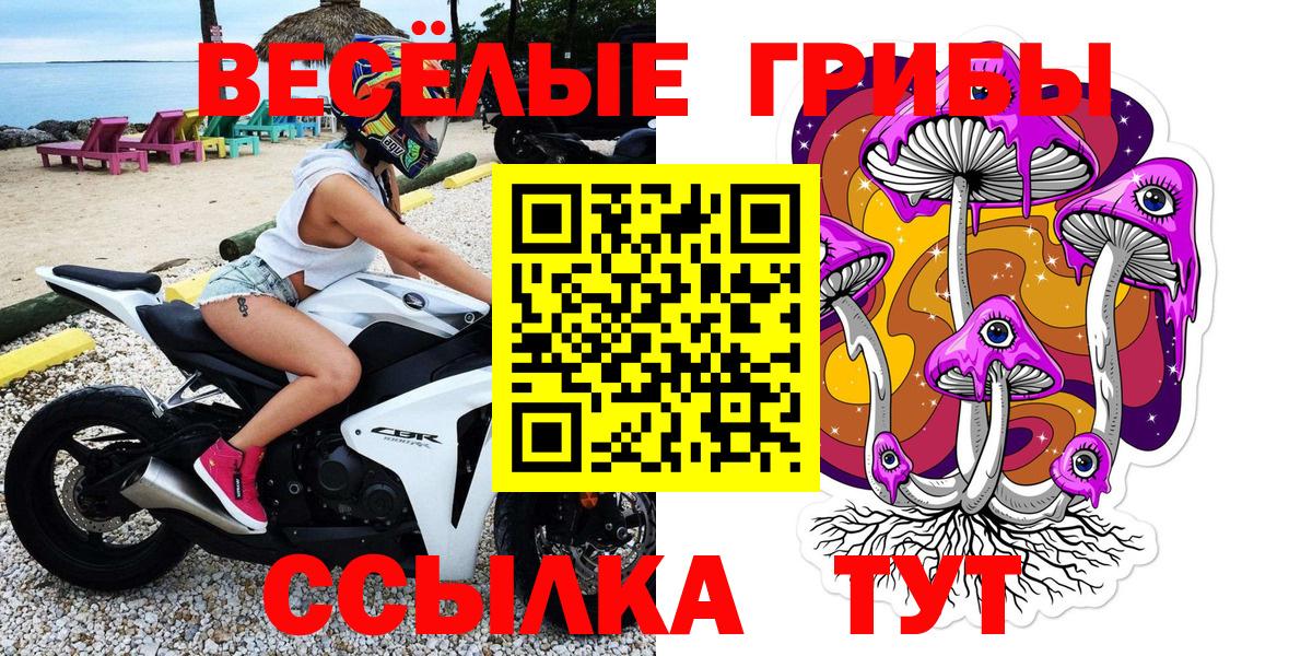 Валуйки  купить закладку  Вход с VPN  Галлюциногенные грибы GOLDEN TEACHER 
